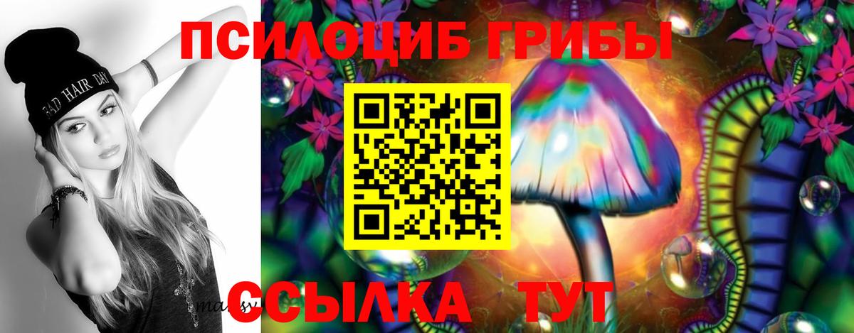 Псилоцибиновые грибы мицелий  Галлюциногенные грибы Psilocybine cubensis  цена наркотик  Вход с VPN  Буйнакск 